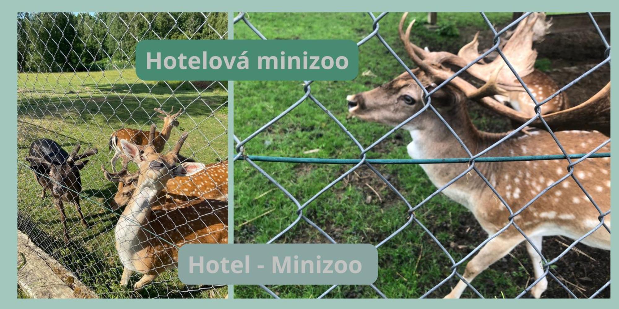Lazensky Hotel Pyramida Františkovy Lázně Zewnętrze zdjęcie